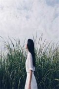  白洛瑶姜涛小说（白洛瑶姜涛）全