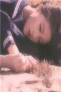 我向你奔来全文免费阅读（陈冉陆