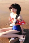 白洛瑶靳北（白洛瑶靳北）全文免