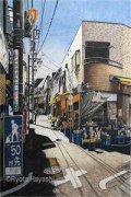 白洛瑶靳北（白洛瑶靳北）小说全