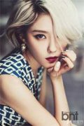 叶绾绾封尧（叶绾绾封尧）全文免