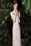 叶以念陆宸小说（叶以念陆宸免费