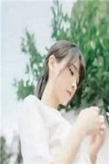 愿卿长安宁全文免费阅读无弹窗大
