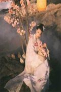 君墨琰林锦婳（君墨琰林锦婳）全