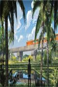 陆则江晚芙(陆则江晚芙)全文免费阅