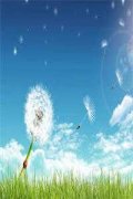 凌思雪顾湛庭（凌思雪顾湛庭）全