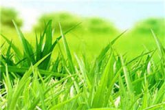 温珊珊傅亦川(温珊珊傅亦川)全文免