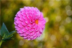 梁若馨傅琛姜淮（梁若馨傅琛姜淮