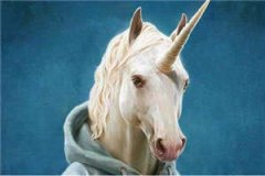 命运灯火（祁崟流离）全文免费阅