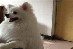 苏铭蔡坤(苏铭蔡坤)全文免费阅读无