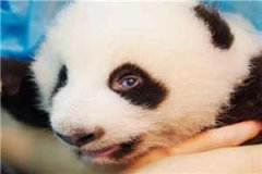 (大辈少女)全文免费阅读无弹窗大结