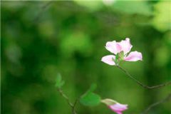 桑倪桑珊珊小说无弹窗大结局_桑倪