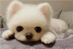 许穗和陆东珩的小说（许穗和陆东