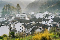 楚羡林愫(楚羡林愫)全文免费阅读无