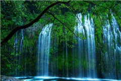 牧浅歌顾夜恒小说免费阅读章节牧