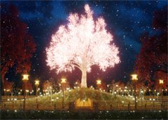 许穗小说（许穗）全文免费阅读无