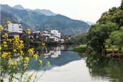 陆明宜时宴小说（陆明宜时宴小说