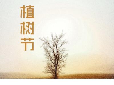 qq空间说说大全带图片