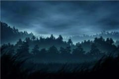 秦朗沈幼薇(沈幼薇秦朗)全文免费阅