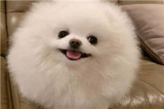 (穿成女主丫鬟后我躺平了128)全文免