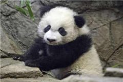 位归原主(位归原主)全文免费阅读无