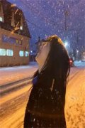 女主任务(江可可铮)全文免费阅读无