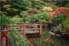 沐婷顾子航小说(沐婷顾子航)全文免