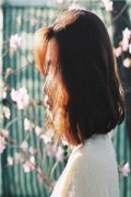 我曾念念不忘的事(沈念林修尘)全文