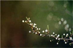 林晚宜秦辞（林晚宜秦辞）全文免