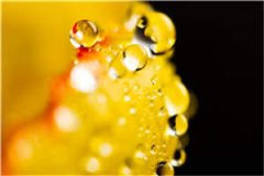 席砚琛裴月（席砚琛裴月）小说全