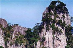 穿越斗殴（李婧希苏言）全文免费