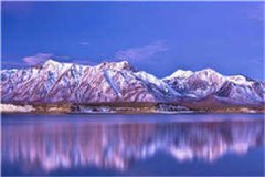 楚阳林晴雪(楚阳林晴雪最新阅读
