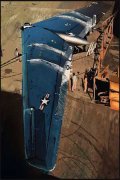 苏颜惜司霆舟（苏颜惜司霆舟）小