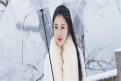 置信帮我小说全文免费阅读无弹窗