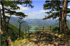 毒舌女星（叶宁于维）全文免费阅