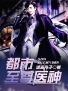 现在火的小说都市至尊医神燕宸秦