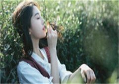 追求黎明时(林采荃苏禾)全文阅读