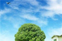 谈行止温唏(谈行止温唏)全文免费阅