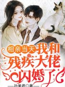 相亲当天我和残疾大佬闪婚了完整