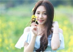 陆思棉章节完整版阅读-团宠小棉花