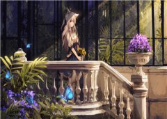 《女星恋爱曝光小说大结局》小说