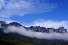 素质撕茶章节完整版阅读_沈洺沈凝