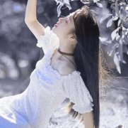 现在火的小说全文免费阅读#最新章