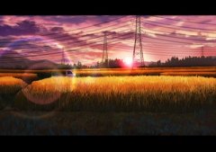 分手保险期全文免费阅读完结版_分