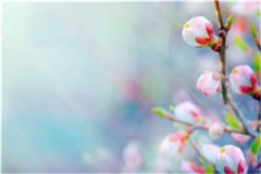 陈延凌颜(狂虐渣男老公)全文免费阅