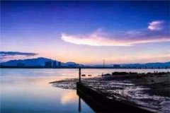 墨泽离月星知乎小说免费在线阅读