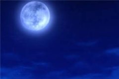 傻妻（叶萋萋秦聿）全文免费阅读