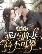 新书推荐《离婚后乖巧前妻高不可