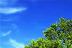 儿子养废了，我决定重新培养一个