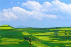 许若卿傅迟寒(许若卿傅迟寒)全文免